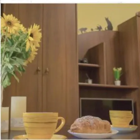 Apartment центр, біля медичного університету, вулиця личаківська *