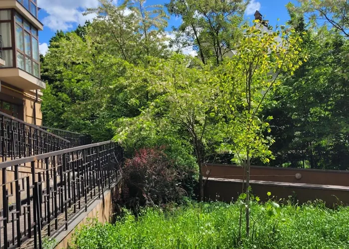 아파트 центр, біля медичного університету, вулиця личаківська 리비프